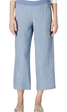 J.Jill Love Linen Blue Stripe Linen Cropped Wide Leg Pull On Pants Sz.2X
