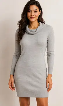 SMARTWOOL Granite Falls Merino Wool Turtleneck Gray Sweater Dress in Size Small