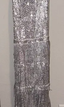 Silver Sequin Fringe Dress