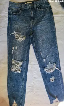 Willow & Root Distressed Blue capri Jean nwot