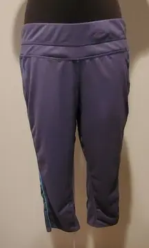 Tangerine Blue Workout Capris (Large)