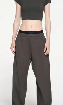 NWOT Skims New Vintage Croppled Raglan T-Shirt