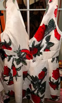 Rosette Floral Sleeveless Mini Dress with Red Roses EUC