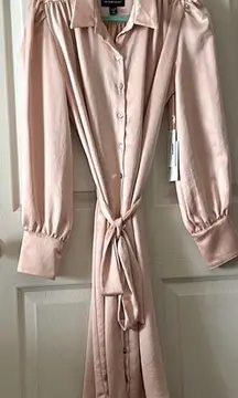 Blouson Sleeve Satin Light Pink Button Front Dress Size Med NWT