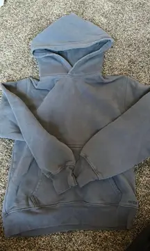 Aritzia Perfect Fit Hoodie TNA Sweatfleece