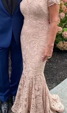 Nicole Bakti Sequin Embroidered Evening Gown Dress Dusty Rose Pink Size 6