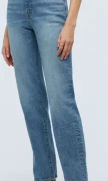 Madewell 90's Straight Jean Denim in Randall Wash‎ Size 25