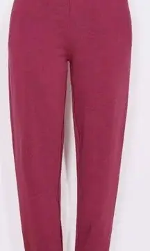 SUNDRY NWT Boyfriend Sweatpants Size 2 (medium) in Wine