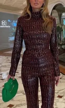 NWT Zara High Collar Sequin Long Sleeve Top