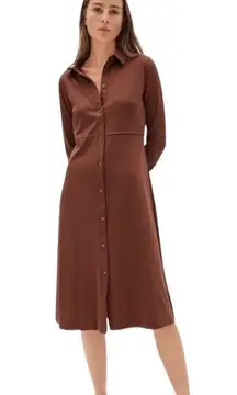 EVERLANE LUXE BROWN LONG SLEEVE STRETCHY SHIRT DRESS S