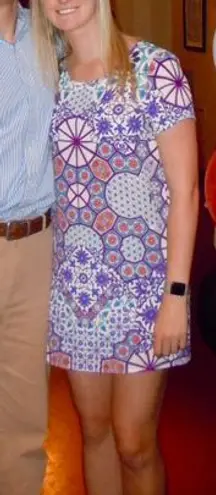 Mink Pink colorful dress