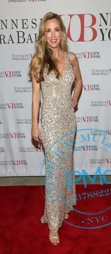 Mac Duggal Sequined Sleeveless V Neck Column Gown in Nude Gold Size US 2