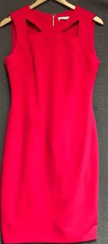 Calvin Klein  pink sleeveless dress with brass zipper and decorative neckline