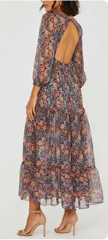 MISA Los Angeles Anahita Maxi Dress, Multicolor, Medium