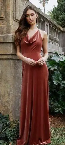 Jenny Bird Jenny Yoo Collection Sullivan Rose Velvet Maxi Dress 14 (see description)