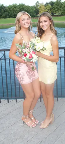 Windsor Homecoming  Dress Sequin pink  - Image 1