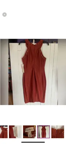 Signature Collection Signature Bodycon Dress Terracotta Size 8