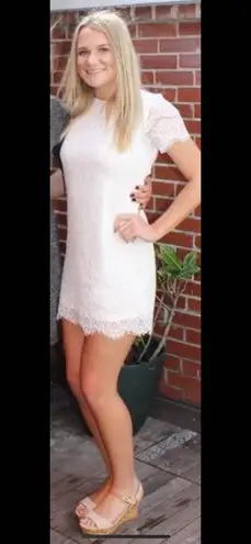 Lulus Take Me To Brunch Shift Dress 