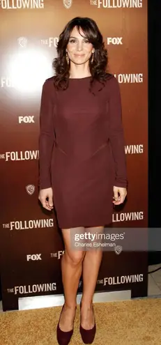 Alexander Wang T by women’s burgundy mesh inset fitted knit dress size small S