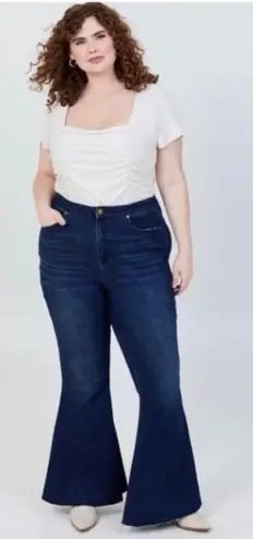 Arula Jeans Womens 20 High Rise Flare Raw Hem Bareback Boho Festival 70s Y2K Blue Size undefined