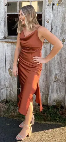 Petal and Pup Rust Midi Dress