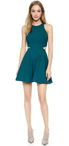 Elizabeth and James RTR Emorie Dress size 2 (XS)