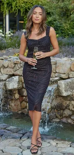 Petal and Pup Naomi Black & Brown Zebra Midi Dress M