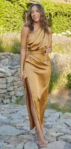 Petal and Pup Nadia One Shoulder Bronze Satin Maxi Dress 16