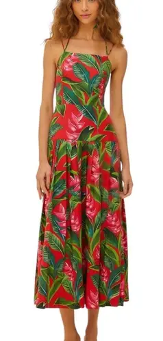 Farm Rio Red Dream Garden Maxi Dress