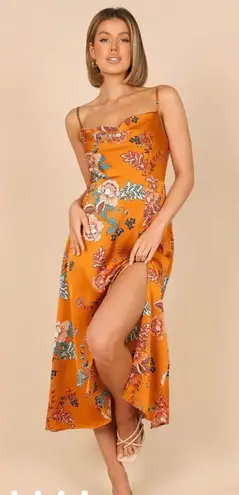 Petal and Pup Midi Dress