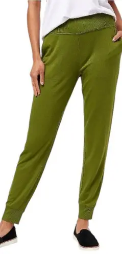 Susan Graver WEEKEND NWOT Jersey Knit Joggers Size XL Petite Sea Moss Green