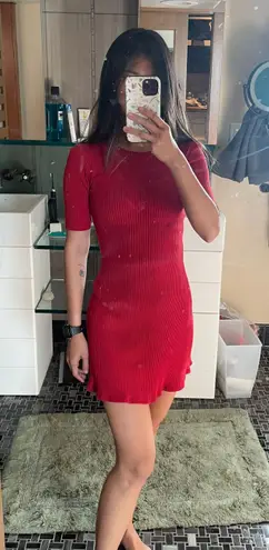 ZARA Red Dress