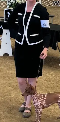 New Large Women's Colorblock Wear to Work Business Party Bodycon One