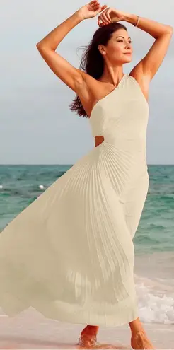 ALC Frank A.L.C. Dahlia Dress One Shoulder Whisper White Cutout Pleated Crepe Maxi Size 8