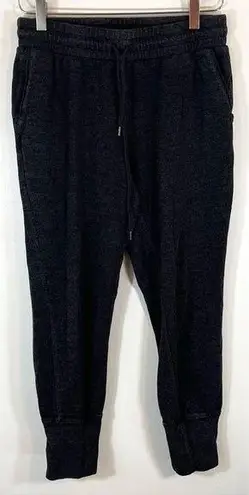 Aritzia  Wilfred Free Dark Grey High Rise Drawstring Jogger Sweatpants Size Small