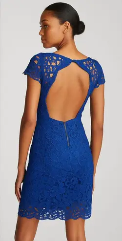 Alice + Olivia Dress