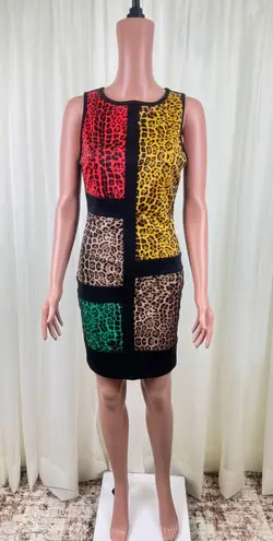 NIKIBIKI NWOT Cheetah Print Color Block Dress