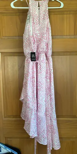 EXPRESS Spring Dress