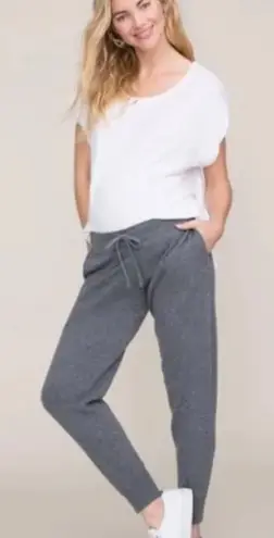 HATCH The Cashmere Jogger Knit Size 1 / Small In Gray Maternity