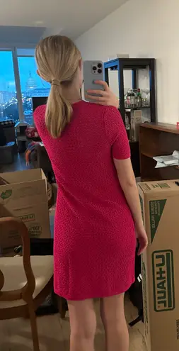 Banana Republic Pink Dress