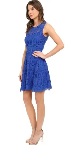 Adelyn Rae ππ Royal Blue Lace Fit and Flare Dress
