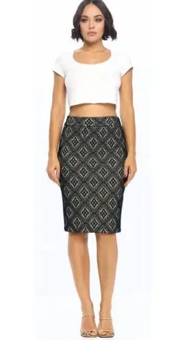 Renee C . Black Elvira Lace Pencil Skirt Size Large