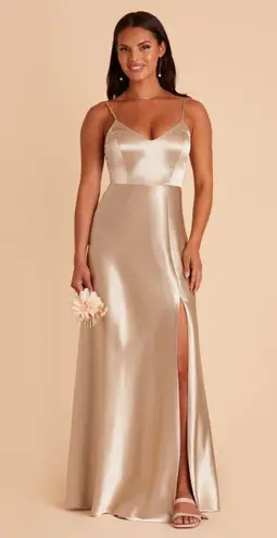 Birdy Grey 1X  Shiny Satin Neutral Champagne Jay Dress