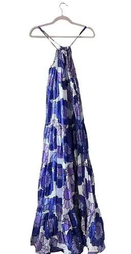 The Bar Dodo Or Purple Dorothy Floral Print Maxi Dress Small