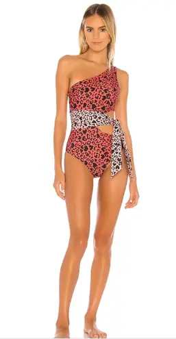 Beach Riot One Piece Leopard Swim