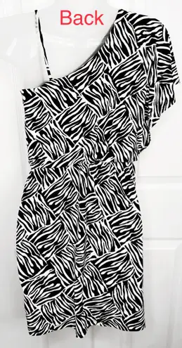 Sweet Storm Zebra One Shoulder Mini Dress