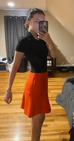 J.Crew Skirt