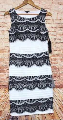 Felicity and Coco | White Black Lace Bodycon Dress