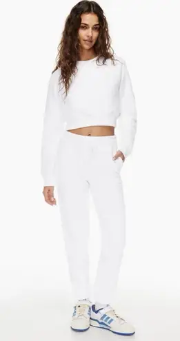 Aritzia Tna Cozy Fleece Perfect Sweatpants