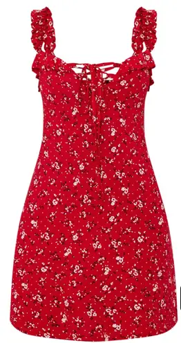 Pretty Little Thing Red Floral Dress